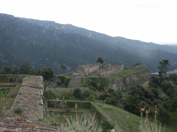 2007-07 Le Perthus 024.jpg - DCF 1.0
